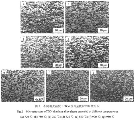 低成本tc4钛合金板材在变形及退火过程中组织和性能的变化规律 宝鸡市立坤钛业有限公司