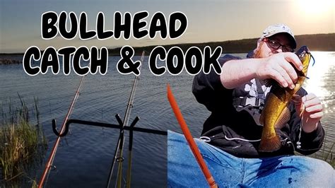 Bullhead Fishing Catch Cook YouTube