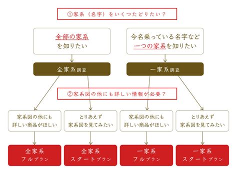 家系図制作のファミリーリレー 家系図プランの選び方