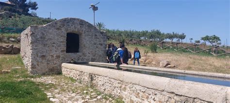 Visita Castello Di Calatubo E Cuba Delle Rose Polo Statale I S S P