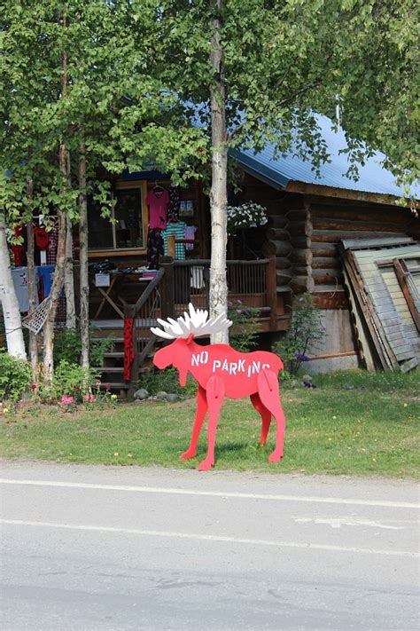 Discovering the Frontier Spirit in Talkeetna, Alaska