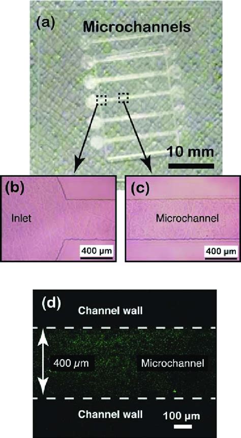 Fabrication of microfluidic device by optical etching and bonding: (a ...