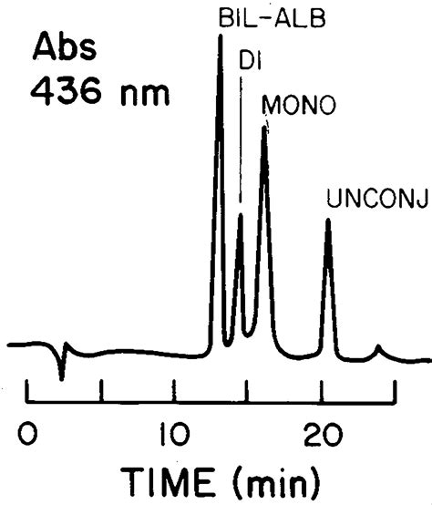 The Clinical Importance Of A Protein Bound Fraction Of Serum Bilirubin