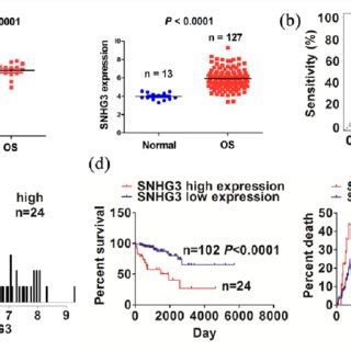 The Association Of MiR 196a 5p Expression With The Prognosis Of OS