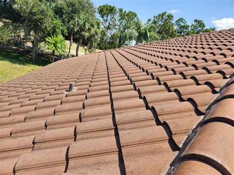 Tampa Roof Repair Tampa Bay Roofing Services