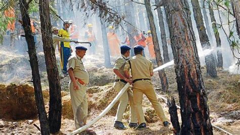 Forest Fires Pose Grave Threat To Green Cover In Uttarakhand