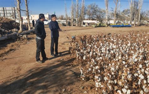 阿拉善左旗科协开展“送科技下乡”活动 盟市科协 内蒙古科协门户网站