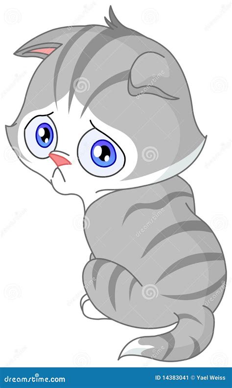 Sad Kitten Stock Image - Image: 14383041