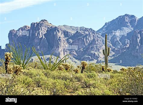Phoenix Apache Trail Stock Photo - Alamy