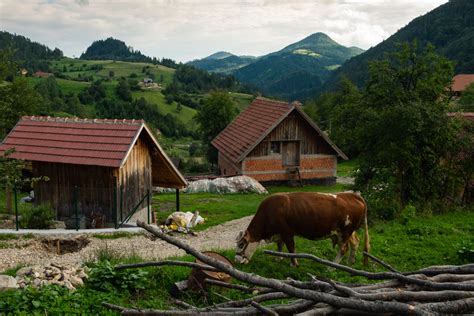 Država daje još više novca za kupovinu kuće na selu