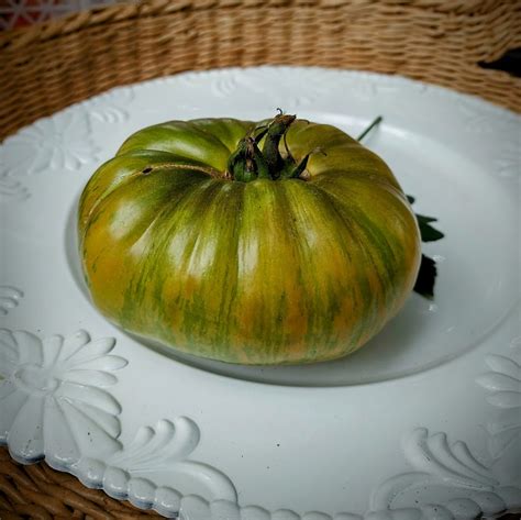 Tomate Berkeley Tie Dye Green Huerto Tante Puppe