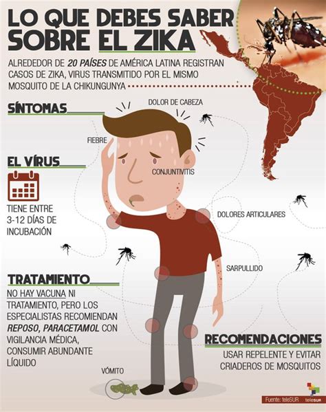 Ecuador reporta 17 casos de zika infografía La Demajagua