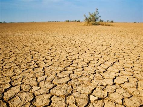 Escasez de lluvias en México archivos El Ciudadano