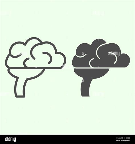 Brain Line And Solid Icon Detailed Human Head Organ Silhouette Outline