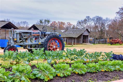 Mississippi Agriculture and Forestry Museum - Jackson, MS