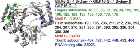 Ribbon Structure Pdb Accession Number 1sh0 Indicating Amino Acid