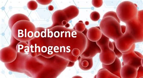 Bloodborne Pathogens Eei