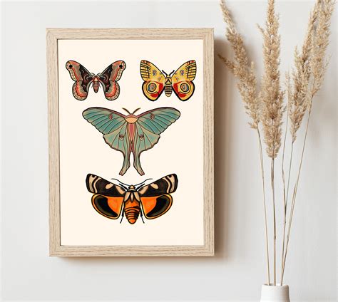 Antique Butterflies and Moths Art Set 12 Different Butterflies and ...