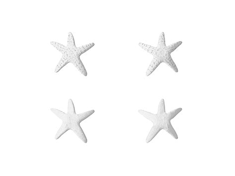 3D Model Starfish Tits Covers VR AR Low Poly CGTrader
