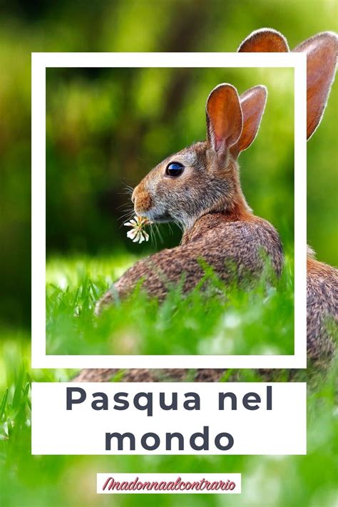 Come Si Festeggia La Pasqua Nel Mondo Artofit