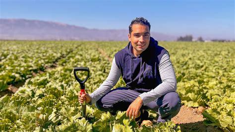 Nextgen Grant Of 5 Million Will Boost Ag Science At Csumb California