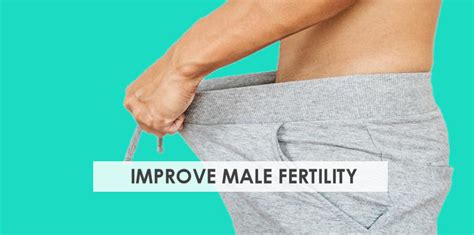 9 Ways To Improve Male Fertility And Get Pregnant Stork Mama