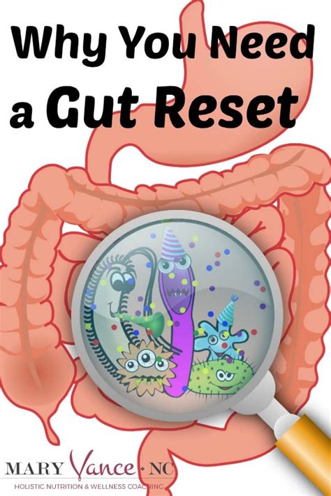 Why You Need A Gut Reset Includes Free Meal Plan Mary Vance Nc