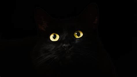 Dark Animals Wallpapers - Wallpaper Cave