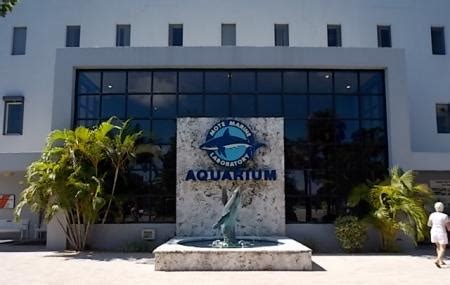 Mote Marine Laboratory And Aquarium, Sarasota | Ticket Price | Timings ...