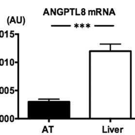 Expression Of Angptl Mrnas In Liver And S C Adipose Tissue Relative