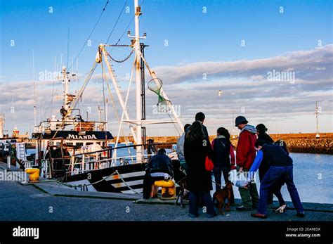 Fishing Boats Docked At The Pier Howth Fishery Harbour Howth County