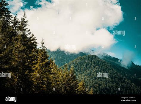 Landscape Near Seattle Stock Photo Alamy