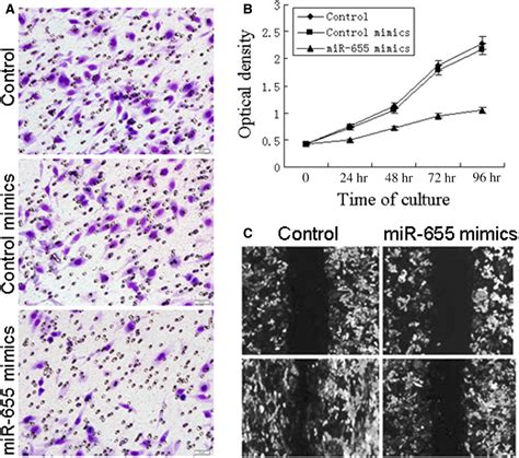 Retracted Mir Suppresses Epithelialtomesenchymal Transition By