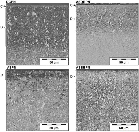 Cross Section Optical Microscopies Of The Nital Etched Nitrided