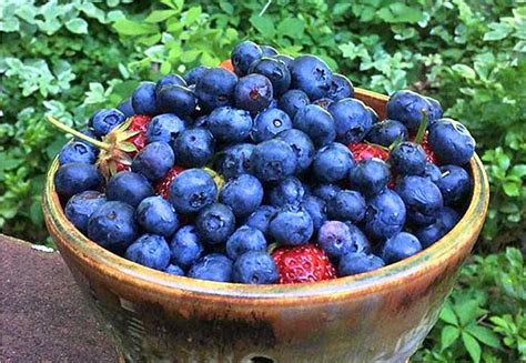 Callicoon Farmers’ Market - PoconoGo