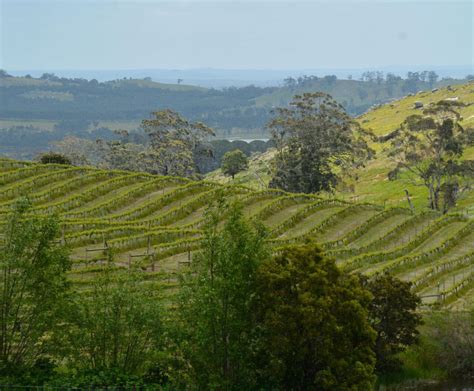 Granite Hills Wines Daylesford Macedon Life