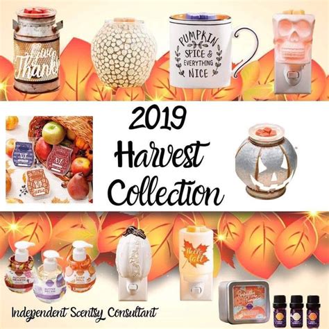 Scentsy Harvest Collection 2019 Buy Scentsy Canada Online