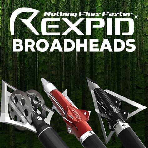 Types Of Broadheads: Introduction To The Different Types