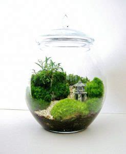 Bonsai Terrarium Miniature Landscaping Jars Savillefurniture