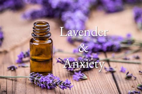 Can Lavender Be Used To Combat Anxiety