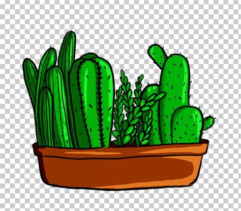 Cactaceae Green Png Clipart Cactaceae Cactus Caryophyllales