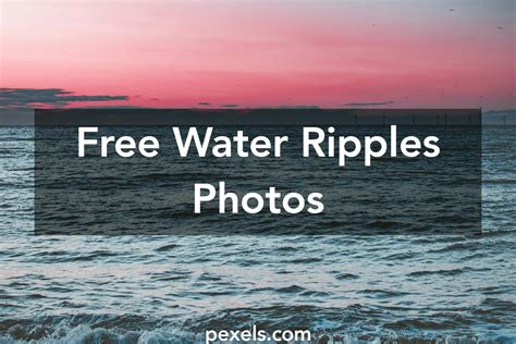 1000+ Great Water Ripples Photos · Pexels · Free Stock Photos