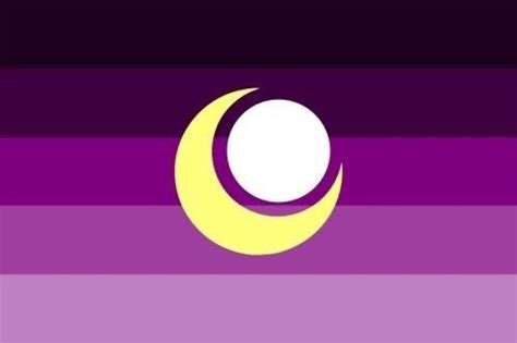 Non Binary ♡ 3 5 Make Your Own Flag Flag Gender Flags