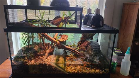 My water snake habitat. First time, made mistakes. : r/snakes