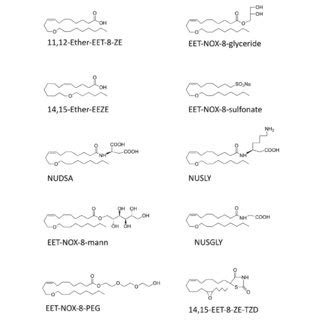 Chemical Composition Of Epoxyeicosatrienoic Acid EeT Analogs