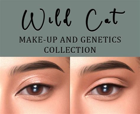 Wild Cat Make Up And Genetics Collection Northern Siberia Winds