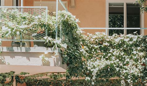 Balcon En Ville Astuces Pour Se Prot Ger Du Vis Vis Pieds D Co