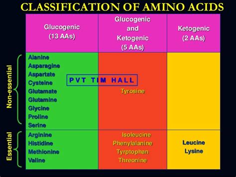 PROTEIN METABOLISM - Welcome to Bio Stud...