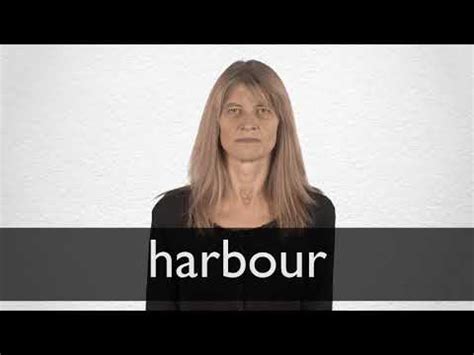 HARBOUR definition and meaning | Collins English Dictionary