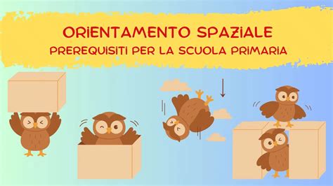 Orientamento Spaziale Prerequisiti Per La Scuola Primaria Sostegno 20